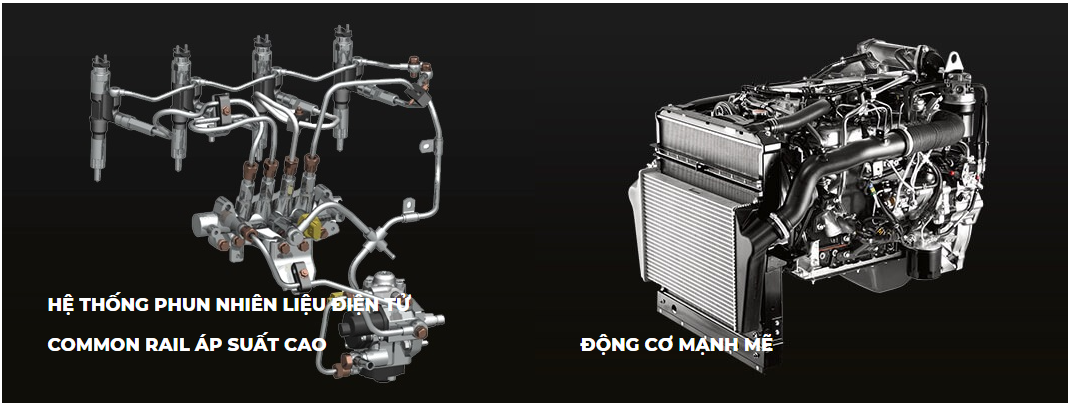dongco Nseries