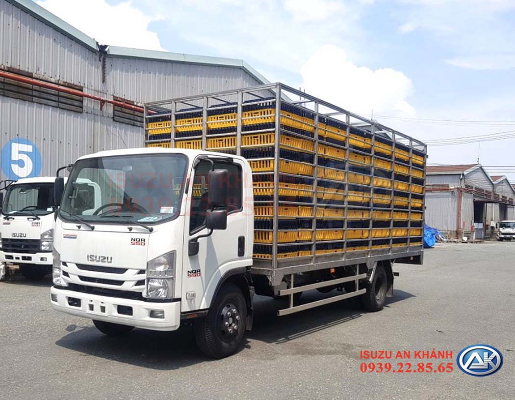 NQR gia cầm (2)