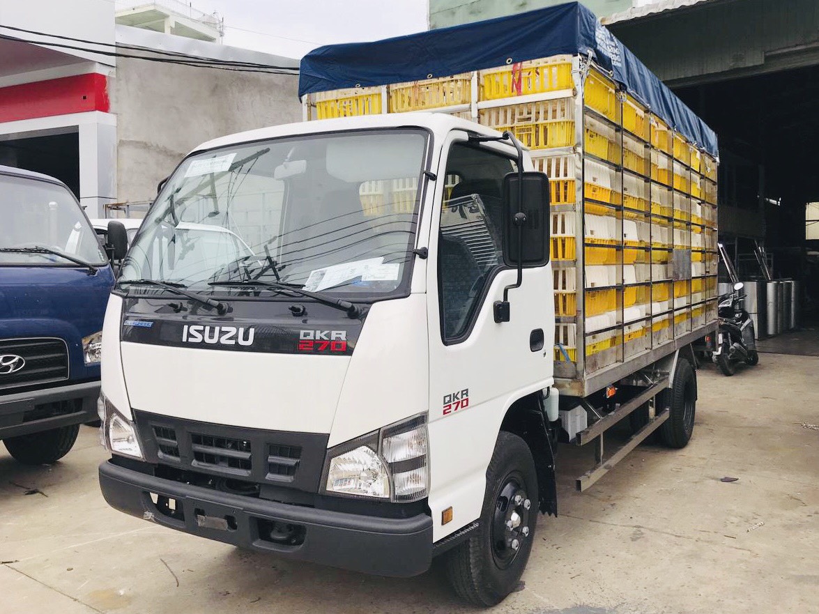 QKRH gia cầm (2)